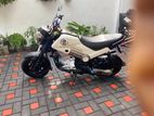 Honda Navi 2017