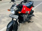 Honda Navi 2017