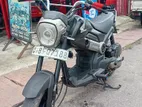 Honda Navi 2017