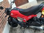 Honda Navi 2017