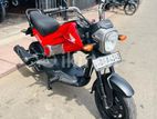 Honda Navi 2017