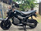Honda Navi 2017
