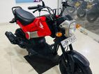 Honda Navi 2017