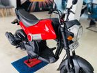 Honda Navi 2017