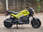 Honda Navi 2017