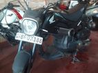 Honda Navi 2017