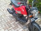 Honda Navi 2017