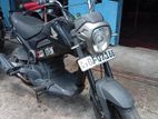 Honda Navi 2017
