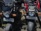 Honda Navi 2017