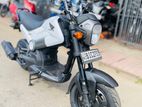 Honda Navi 2017