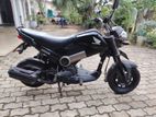 Honda Navi 2017