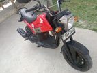 Honda Navi 2017