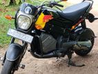 Honda Navi 2017