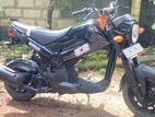 Honda Navi 2017