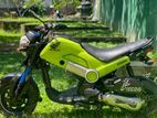 Honda Navi 2017