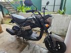 Honda Navi 2017