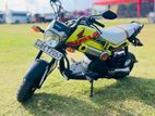Honda Navi 2017