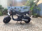 Honda Navi 2017