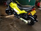 Honda Navi 2017