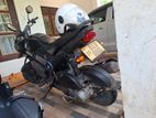 Honda Navi 2017