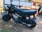 Honda Navi 2017