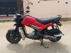 Honda Navi 2017