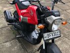 Honda Navi 2017