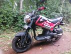 Honda Navi 2017