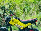 Honda Navi 2017