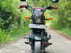 Honda Navi 2017