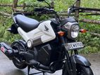 Honda Navi 2017
