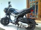 Honda Navi 2017