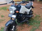 Honda Navi 2017