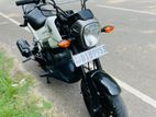 Honda Navi 2017