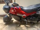Honda Navi 2017