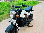 Honda Navi 2017