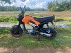 Honda Navi 2017
