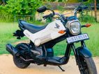 Honda Navi 2017