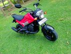 Honda Navi 2017
