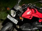 Honda Navi 2017