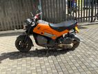 Honda Navi 2017