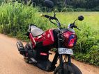 Honda Navi 2017