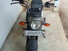 Honda Navi 2017