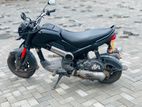 Honda Navi 2018 2017