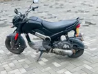 Honda Navi 2018 2017