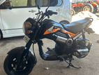 Honda Navi 2018