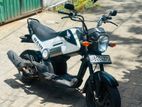 Honda Navi 2018