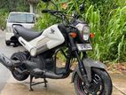 Honda Navi 2018