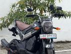 Honda Navi 2018