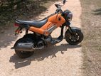 Honda Navi 2018